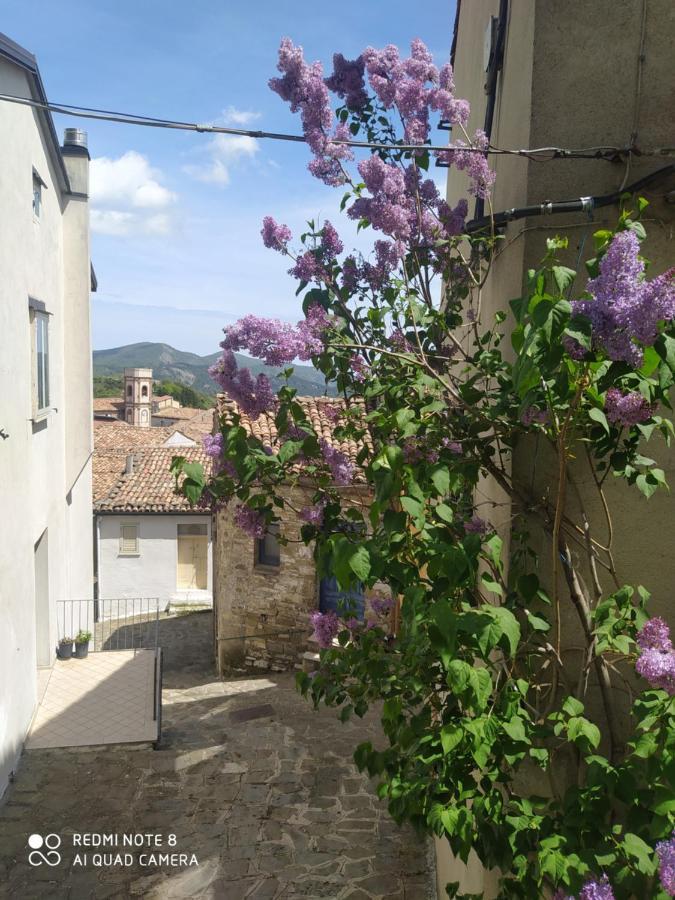 Sant'Elia B&B Alessandria del Carretto Zewnętrze zdjęcie